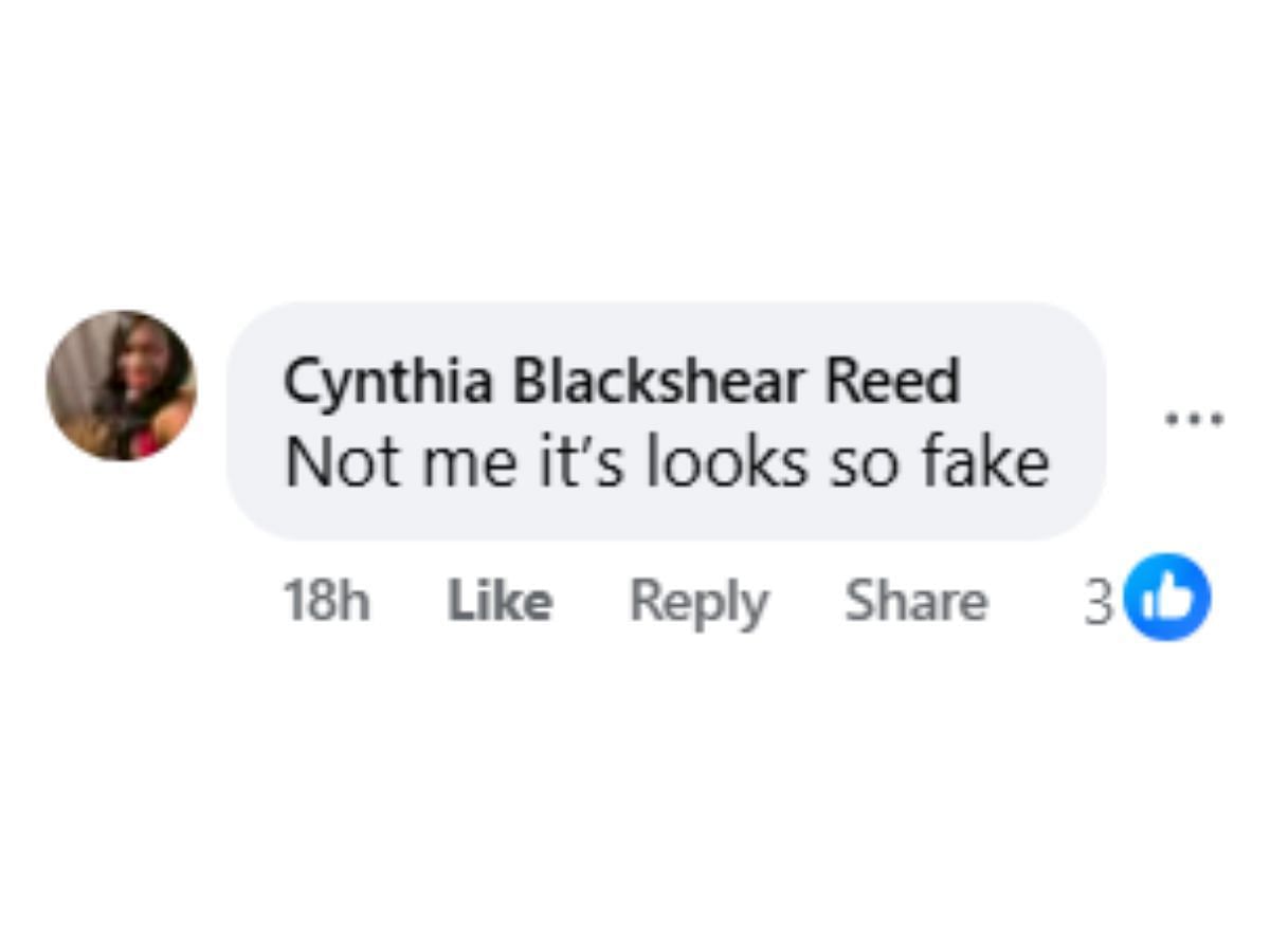 Comments by the fan on the post (Image via Facebook/@Rosie Paino)